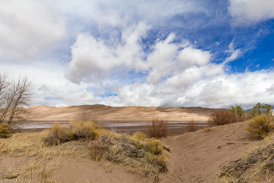 Picture, The Great Sand Dunes National Park